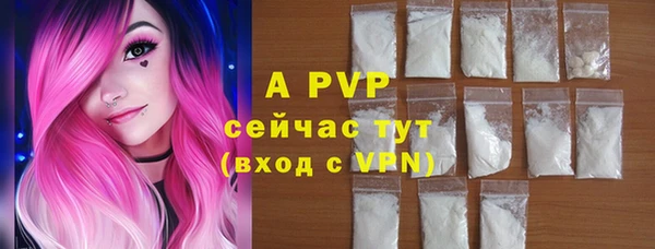 спайс Нея