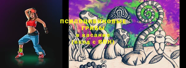таблы Новодвинск