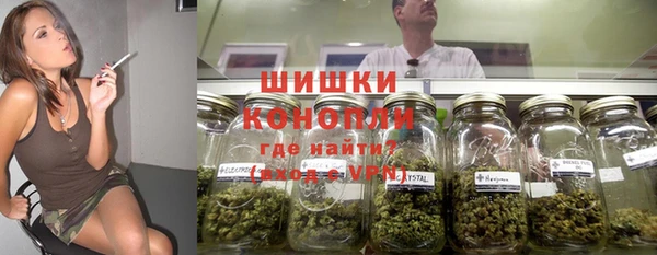 крисы Нефтекумск