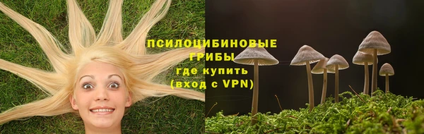 гашиш Новозыбков